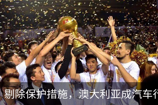 剔除保护措施，澳大利亚成汽车行业的真实试炼场