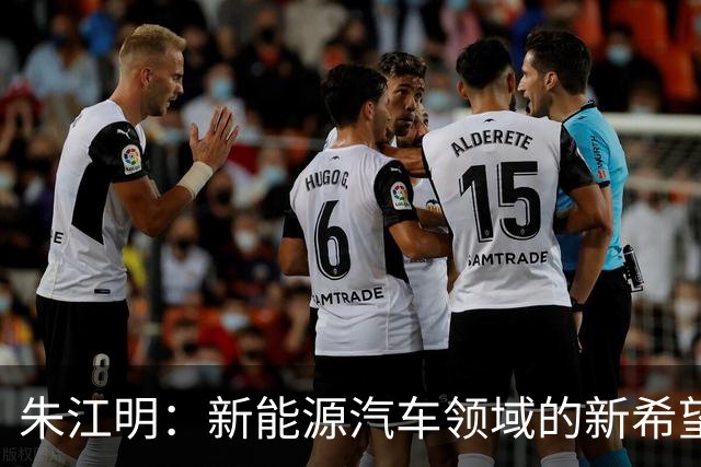 朱江明：新能源汽车领域的新希望
